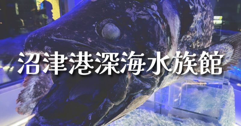 沼津港深海水族館