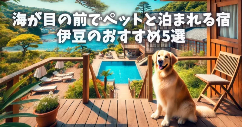 izu-dog-friendly-resorts